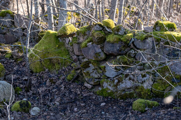 moss covered old ruined wall made of granite boulders