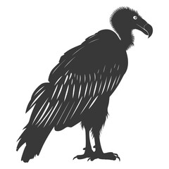 Silhouette vulture bird animal black color only