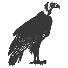Silhouette vulture bird animal black color only
