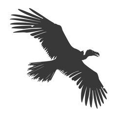 Silhouette vulture bird animal fly black color only