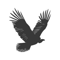 Silhouette vulture bird animal fly black color only