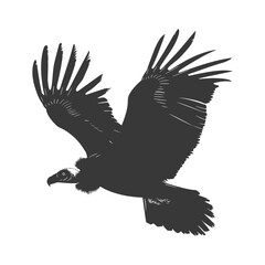 Silhouette vulture bird animal fly black color only