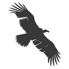 Obraz premium Silhouette vulture bird animal fly black color only