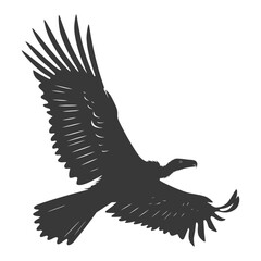 Obraz premium Silhouette vulture bird animal fly black color only