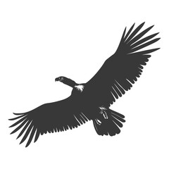 Silhouette vulture bird animal fly black color only