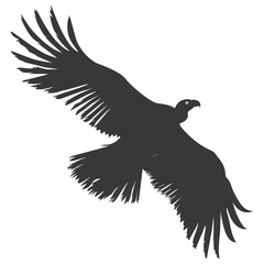Silhouette vulture bird animal fly black color only