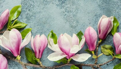 spring magnolia flowers border