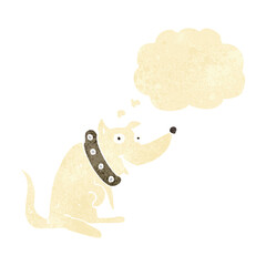 cartoon happy dog in big collar with thought bubble