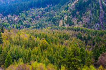 Jiuzhai Valley National Park Summer View in Sichuan Province, China