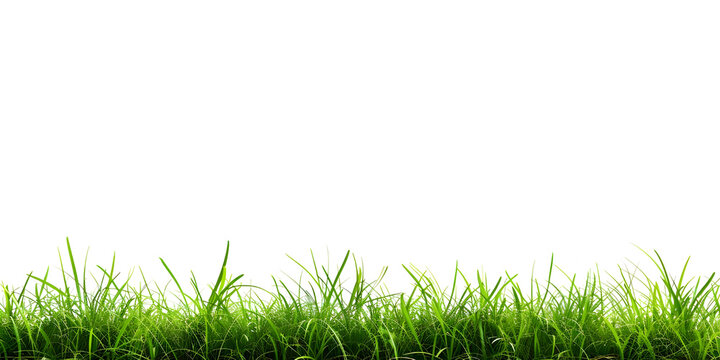 White Background with Grass Footer, Grass Footer on White Background - Ai Generated