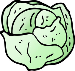 cartoon doodle organic lettuce
