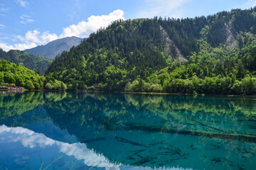 Fototapeta premium Jiuzhai Valley National Park Summer View in Sichuan Province, China