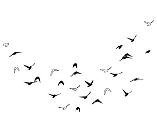 Flying birds silhouette flock. hand drawing. Not AI, Vector illustration