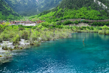 Fototapeta na wymiar Jiuzhai Valley National Park Summer View in Sichuan Province, China