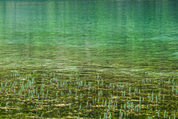 Jiuzhai Valley National Park Summer View in Sichuan Province, China
