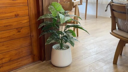 Small artificial green plants decoration in the restaurant or in the living room