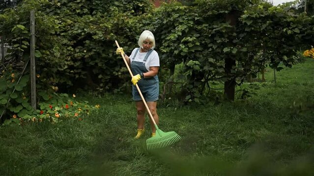 Gardener woman raking up autumn leaves in garden. Woman standing with rake. Autumnal work in garden. . High quality FullHD footage