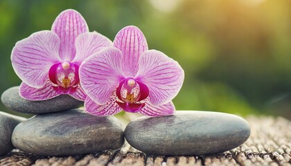 Fototapeta na wymiar pink orchid on stones