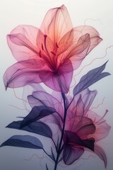 Abstract illustration of lily flower with blurred effect, silhouette, shadow, lily tattoo art. Stylized single abstract lily pattern, print design for clothing, paper, stationery, notepads, books.