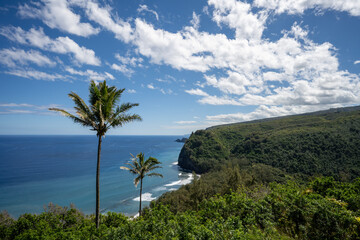 Fototapeta na wymiar Pololu Valley with 2 palm trees on Big Island Hawaii