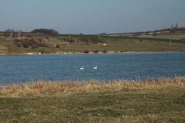 Naklejka premium A lake with birds in it