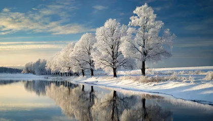 Fotobehang Snow-draped trees mirrored in water, evoking serenity and nostalgia © Your Hand Please