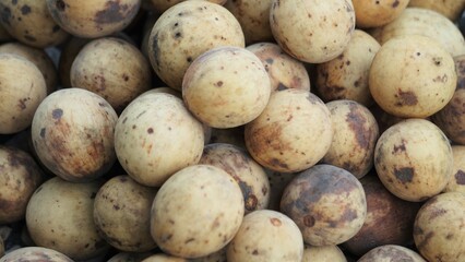 Lansium parasiticum (duku, langsat, kokosan, pisitan, celoring). Lansium parasiticum is cultivated mainly for its fruit, which can be eaten raw. The fruit can also be bottled in syrup