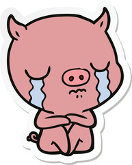 sticker of a cartoon sitting pig crying