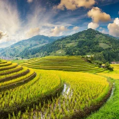 Selbstklebende Fototapeten rice terraces in island © Duy