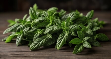  Fresh and vibrant basil leaves, ready to add flavor to your dishes