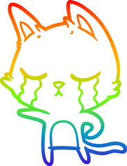 rainbow gradient line drawing crying cartoon cat pointing