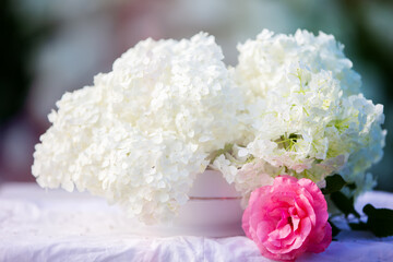 A spring background with a white branch of a blooming hydrangea and a delicate rose on a background of greenery.