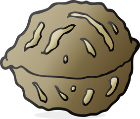 cartoon walnut in shell