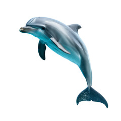 A dolphin is leaping out of the water Isolated on transparent background, PNG