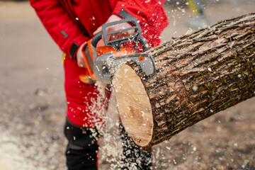 Modern chainsaw working on lumber close up with sawdust flying around