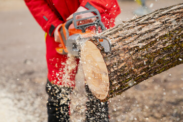 Modern chainsaw working on lumber close up with sawdust flying around - obrazy, fototapety, plakaty