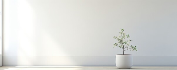 A single white flowerpot bursting with life sits in a pristinely white room, providing a spark of beauty and life amidst the stark stillness of the walls and - Powered by Adobe