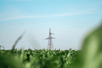 Power transmission lines connected to tower transferring produced green energy on field....