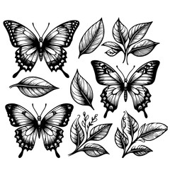 set of black and white butterflies