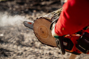 Motor electric powered chainsaw sawing lumber close up as sawdust fly all over - Powered by Adobe