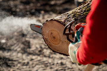 Lumberjack cutting the log with professional battery powered chainsaw