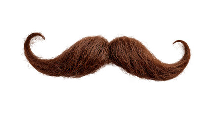 A mustache with a brown color and a long shape Isolated on transparent background, PNG