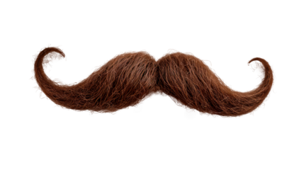 A mustache with a brown color and a long shape Isolated on transparent background, PNG