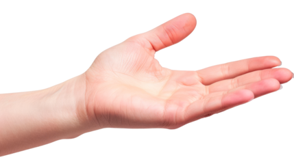 A hand is shown. Isolated on transparent background, PNG