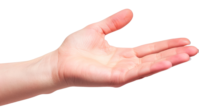 A hand is shown. Isolated on transparent background, PNG