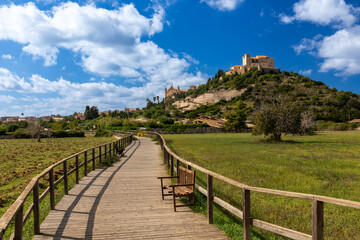Fototapeta na wymiar Blick auf den Burgberg von Arta, Mallorca