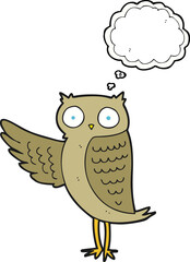 thought bubble cartoon owl