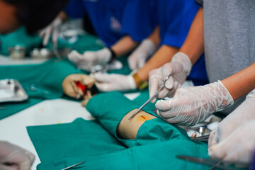 Nursing Students Practicing Surgical Suturing. A group of nursing students in scrubs perform suturing techniques on a model limb in a clinical practice session.