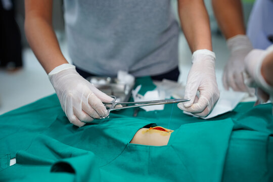 Nursing Students Practicing Surgical Suturing. A group of nursing students in scrubs perform suturing techniques on a model limb in a clinical practice session.