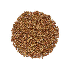 top view flat lay moth bean seed isolated on white background